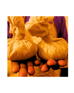 Pindas sweda Ayurveda