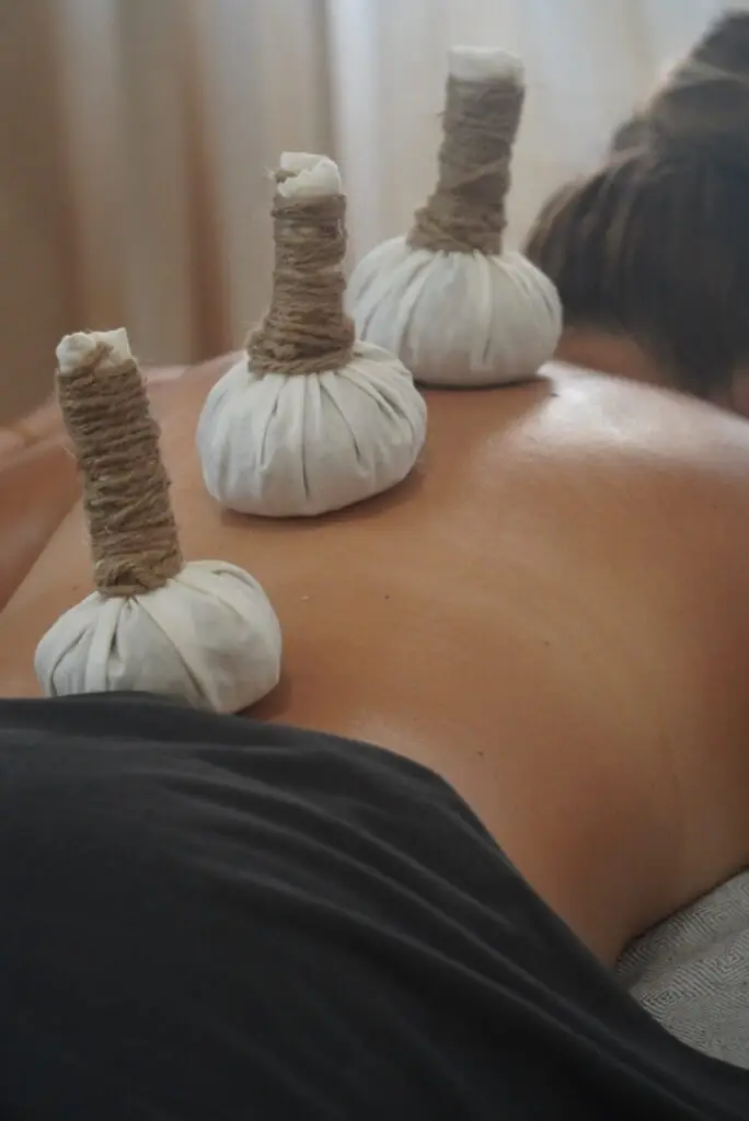 Programa Ayurveda Rasayana