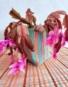 Productos reciclados